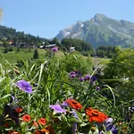 Chalet-hotel Du Borderan Otel