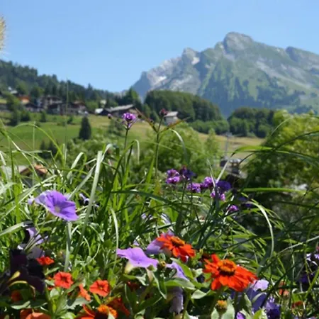 Chalet-hotel Du Borderan Hotel