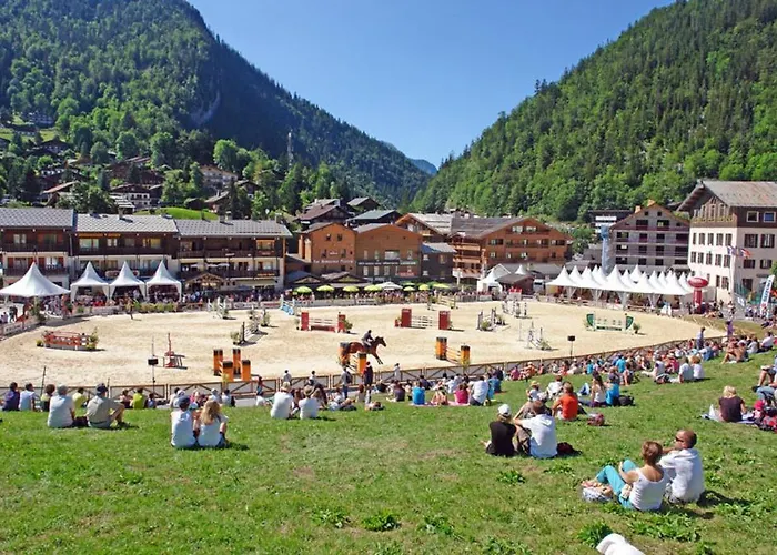Chalet-hotel Du Borderan 3* لا كلوساز