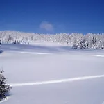 Hotel Chalet-hôtel Du Borderan 3*