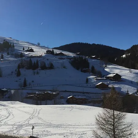 Chalet-hotel Du Borderan 3*