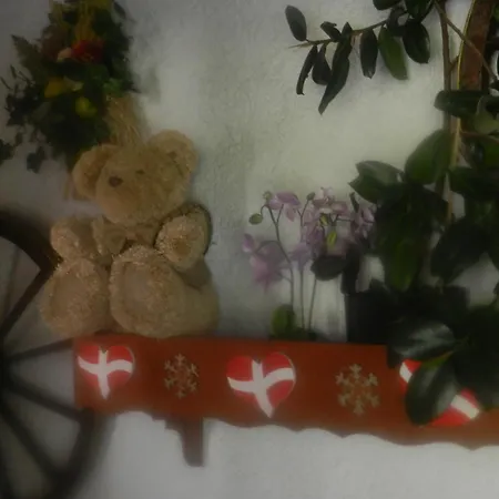 Chalet-hotel Du Borderan 3*