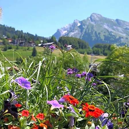 Chalet-hotel Du Borderan La Clusaz
