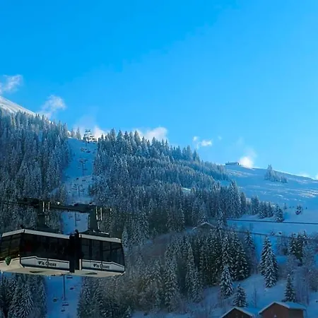 Chalet-hôtel Du Borderan