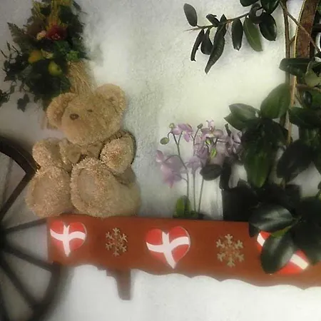 Chalet-hôtel Du Borderan Hotel