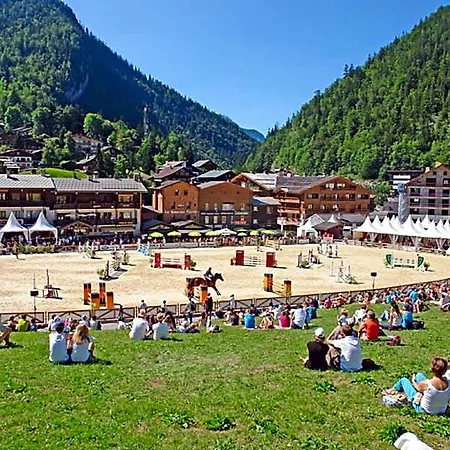 Chalet-hotel Du Borderan Hotel 3*