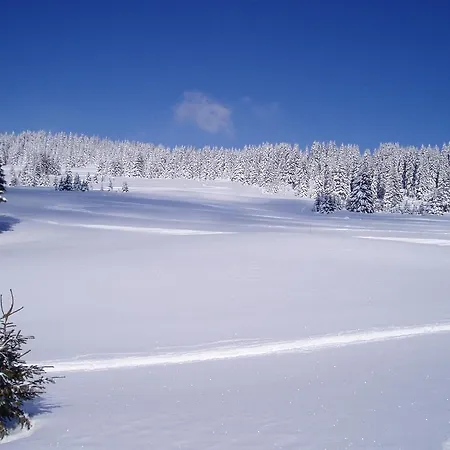 Hotel Chalet-hotel Du Borderan 3*