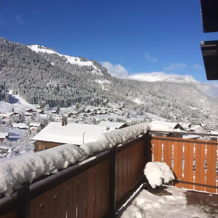 Chalet-hotel Du Borderan 3*
