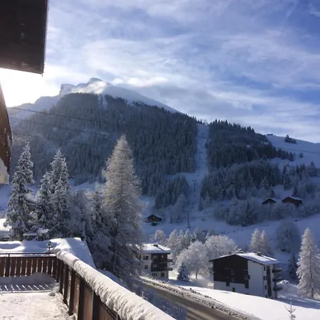 Hotel Chalet-hôtel Du Borderan