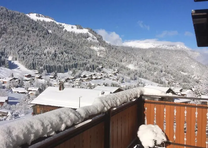 Chalet-hotel Du Borderan 3*
